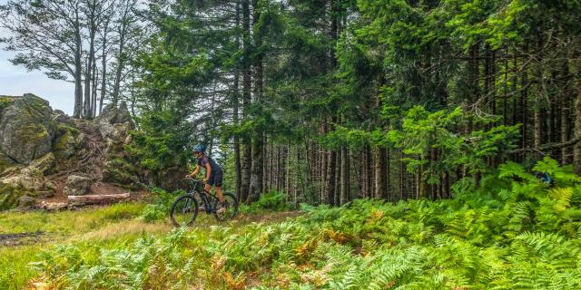 VTT en Montagne bourbonnaise