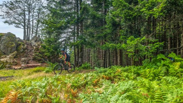 Mountainbiking in den Montagne bourbonnaise