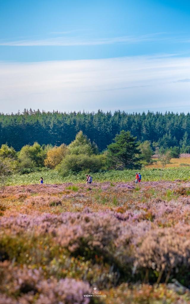 Wandern in den Montagne bourbonnaise