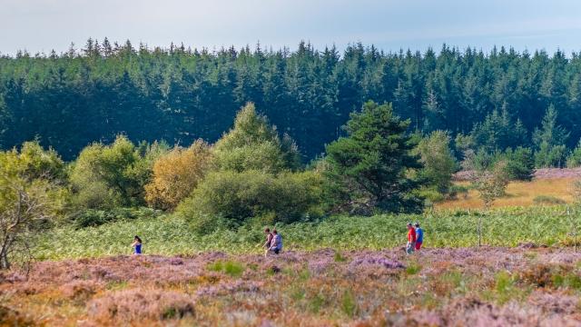 Wandern in den Montagne bourbonnaise