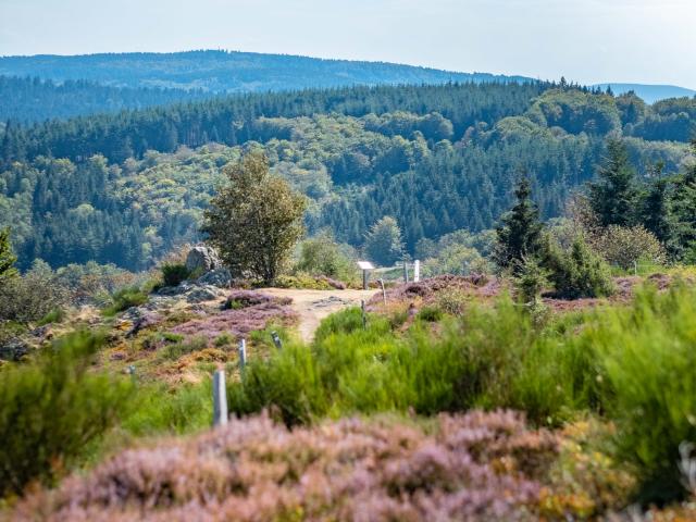 Aussichtspunkt vom Plateau de la Verrerie