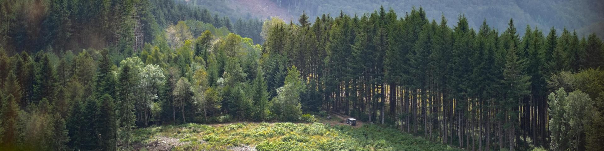 Vista de la montaña Bourbonnaise desde Pierre Châtel