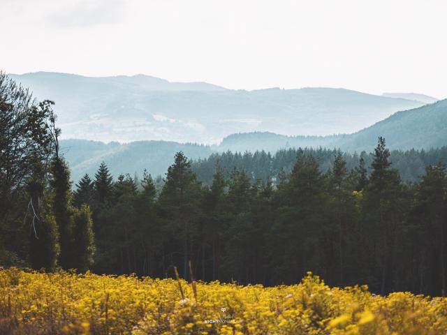 Point de vue sur la Montagne bourbonnaise