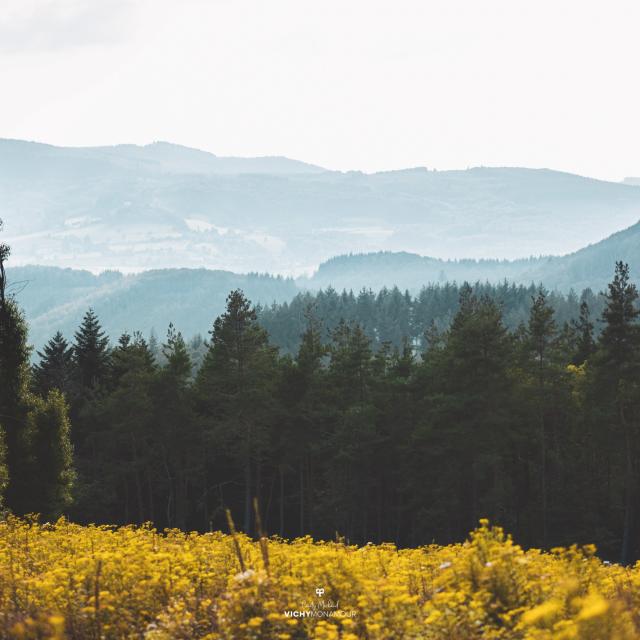 Point de vue sur la Montagne bourbonnaise