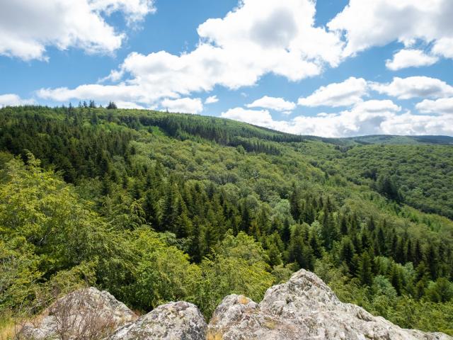 Vista desde Pierre Châtel