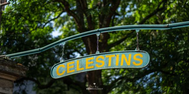 Celestins district