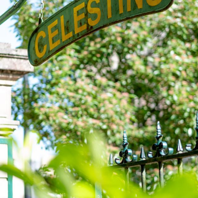 Celestins district