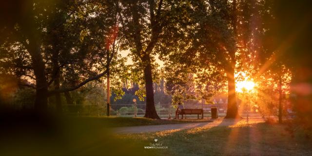 Parc Napoléon III