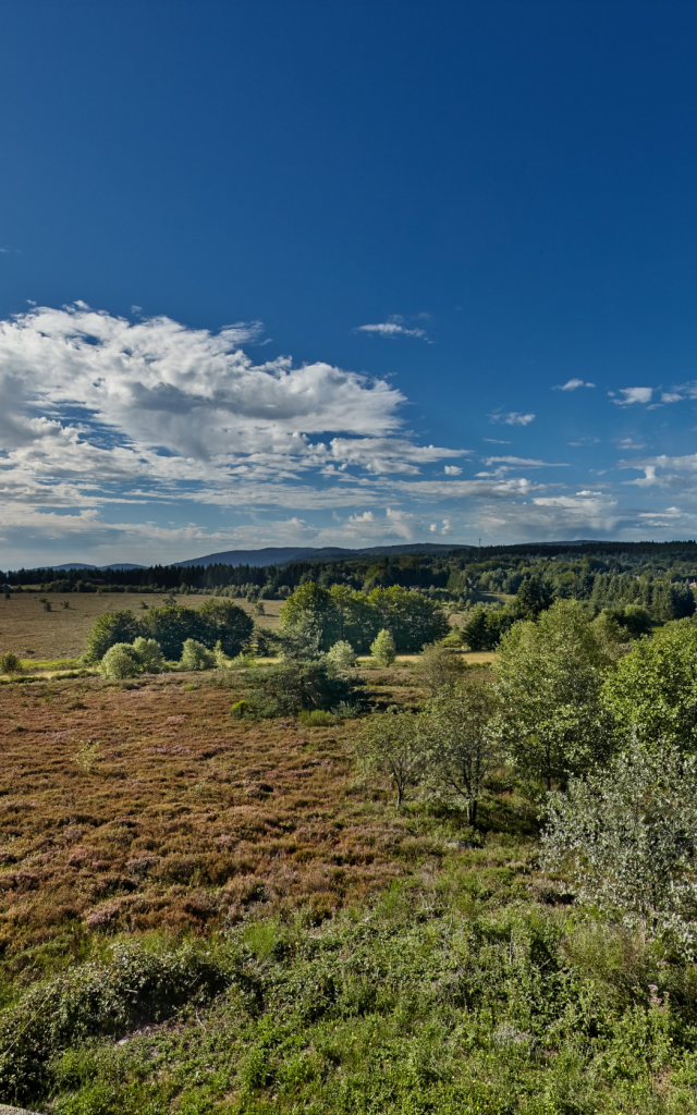 Plateau De La Verrerie