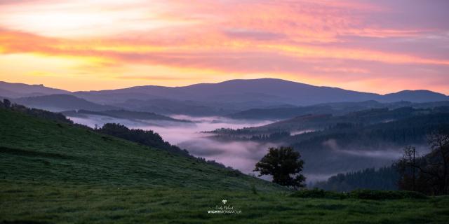 Soleil levant sur la Montagne Bourbonnaise