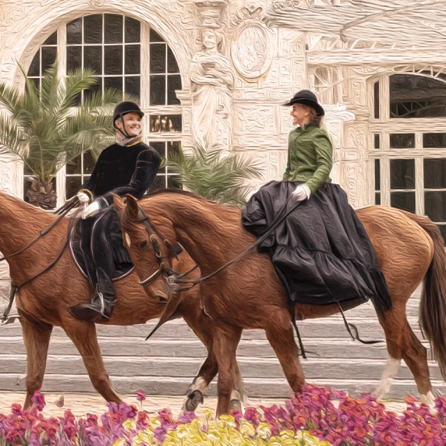 Couverture Napoleoniii